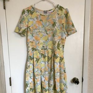 Lularoe Amelia Dress